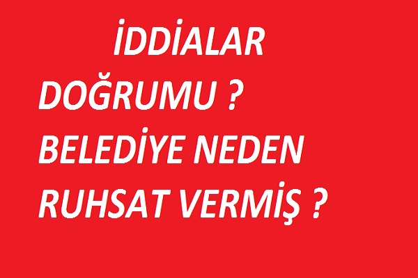 Bu ruhsat neden verilmiş ?