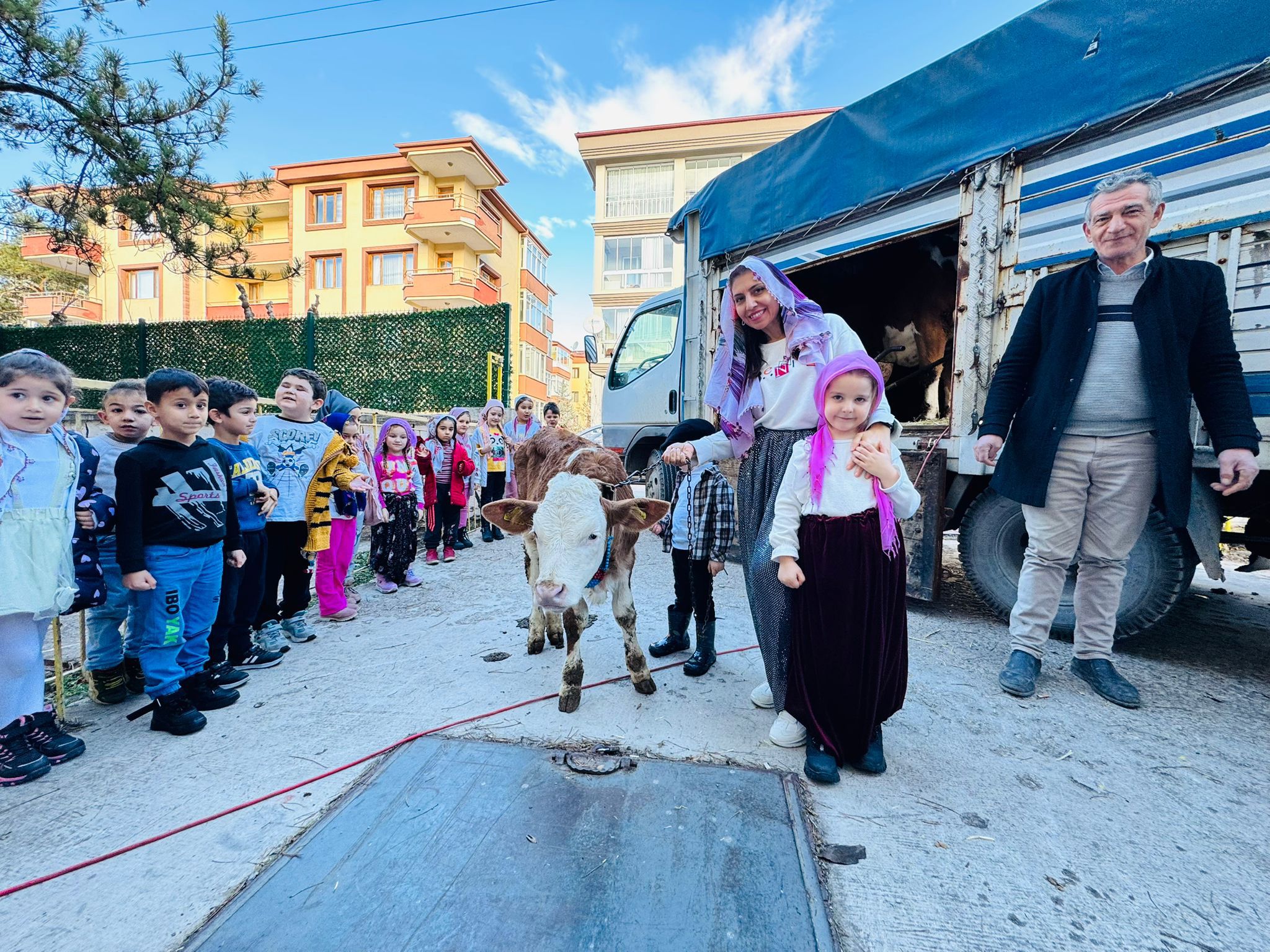 Çocuklar ilk  defa canlı buzağı gördü