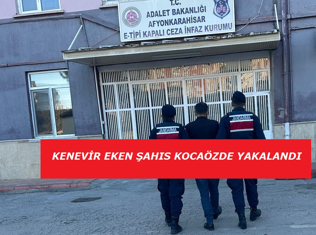 İzinsiz kenevir ekti yakalandı