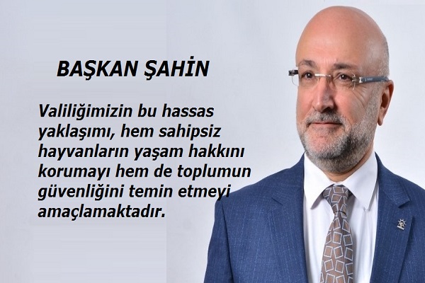 Başkan Şahin Valimizin kararını destekliyoruz