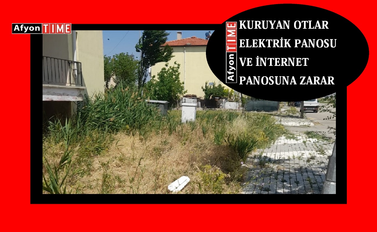 Kuruyan otlar tehlike saçıyor