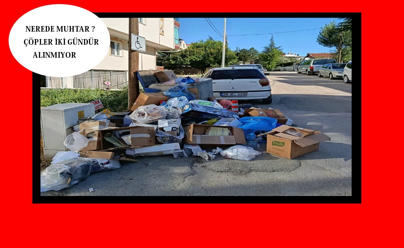 Nazmi Saatçi Mahallesi’nde Çöp Sorunu 