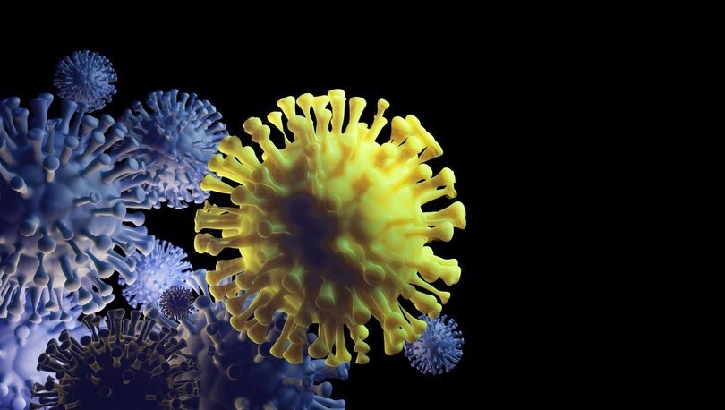 46 mutasyonlu koronavirüs varyantı tespit edildi