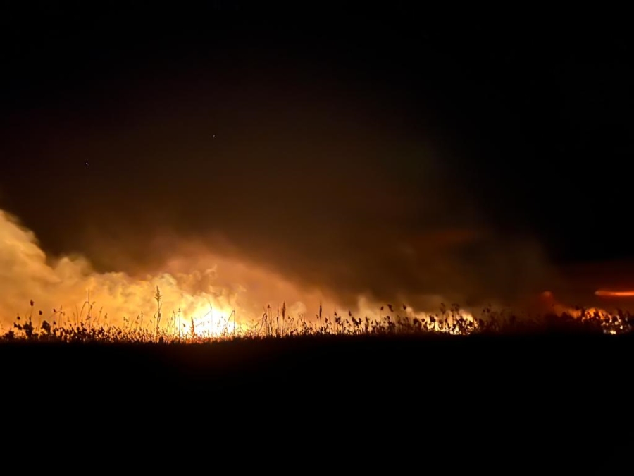 Eber gölü yine yanıyor sorumlusu kim ?
