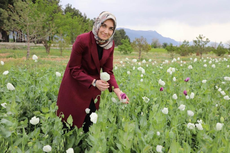 Vali Yiğitbaşı Başmakçıda