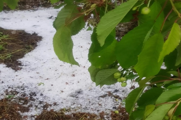 Sultandağında dolu etkili oldu