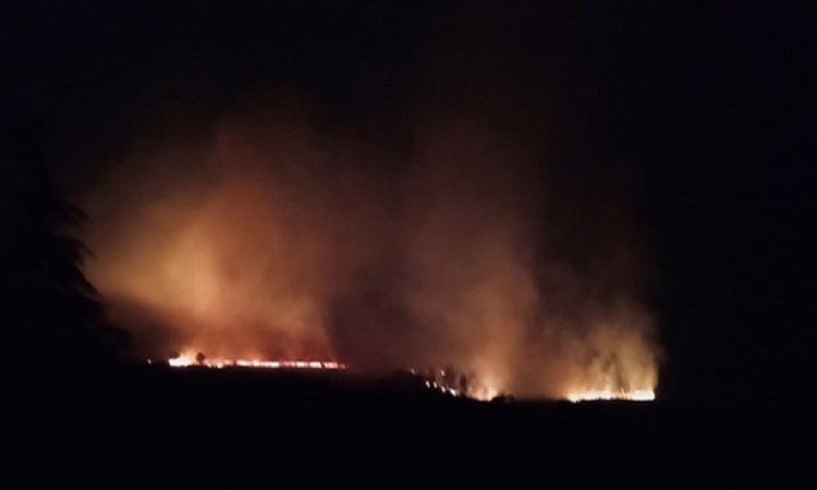 Dinarda orman yangını 14 hektar alan küle döndü