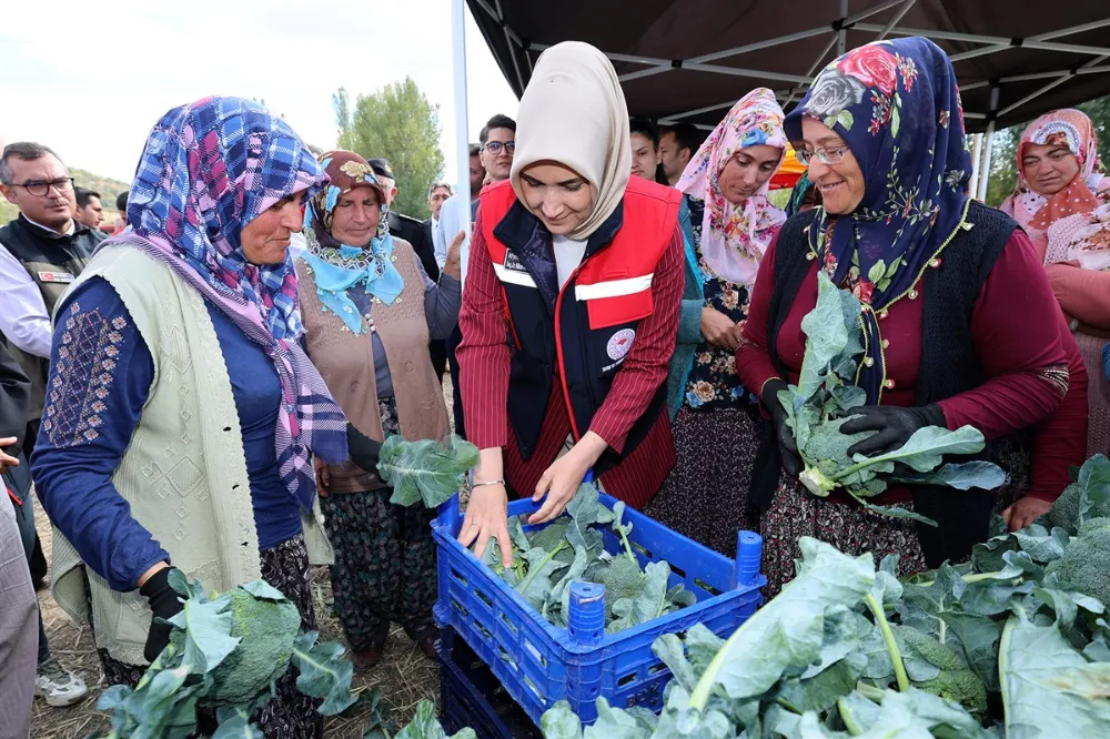 Vali Yiğitbaşı taşolukta brokoli kesti