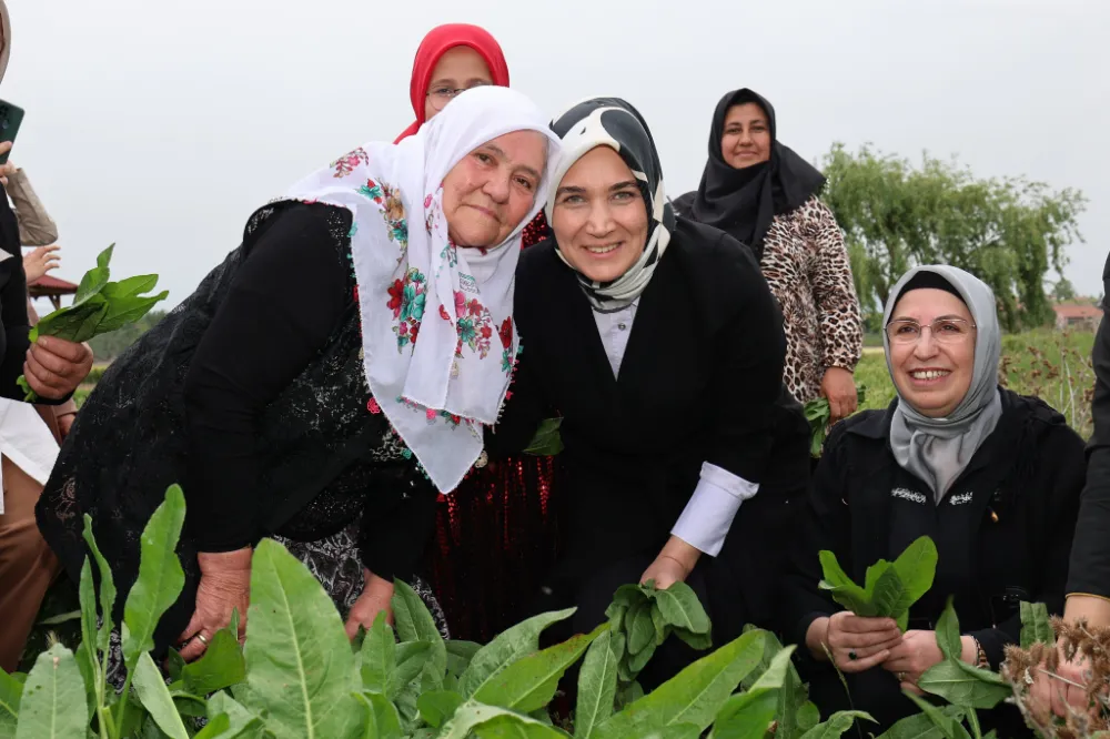 Vali Yiğitbaşı daha çok tanıtılmalı ve her eve ulaşmalı