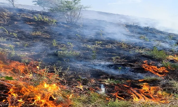 Arazi yangınına ekipler müdahale etti
