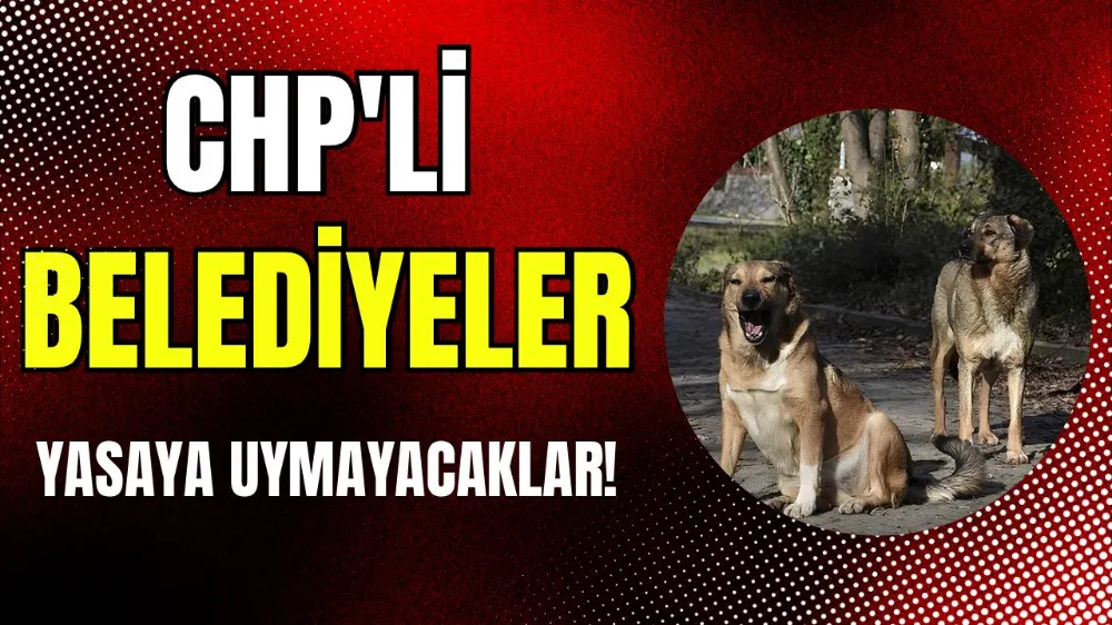 CHP’li belediyeler yasaya uymayacaklar!