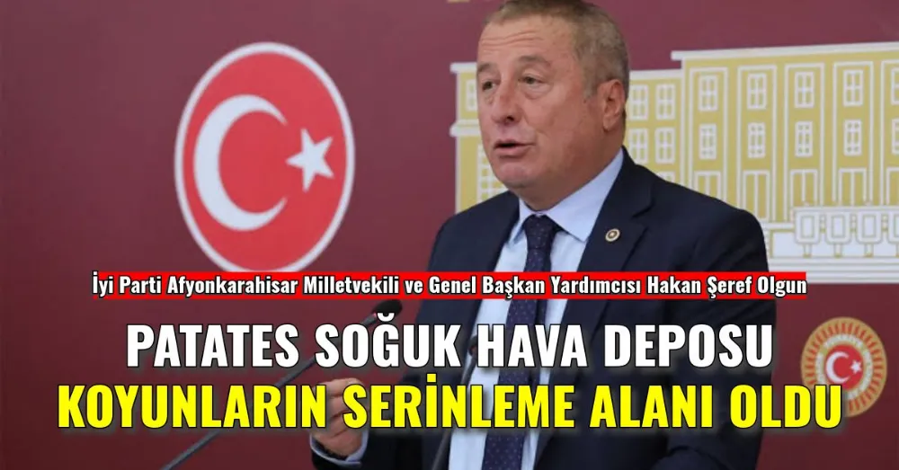 Patetes deposu için 4 trilyon harcanan yer koyun ağılı oldu