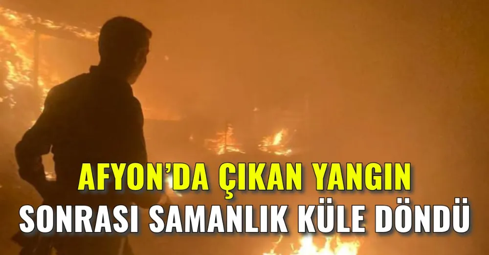 Afyonkarahisarda samanlık küle döndü