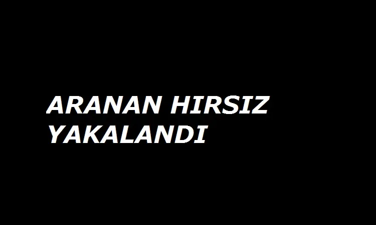 Aranan hırsız yakalandı