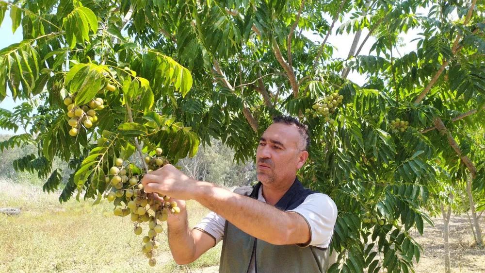 Sıfır atık için tavsiye edildi 